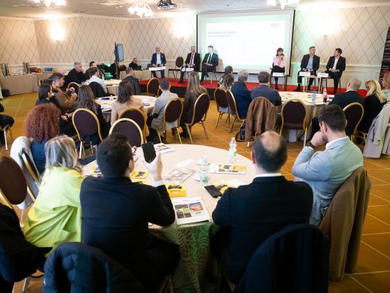 Iași Roundtable